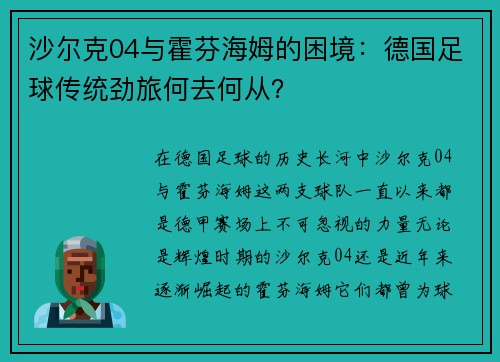 沙尔克04与霍芬海姆的困境：德国足球传统劲旅何去何从？