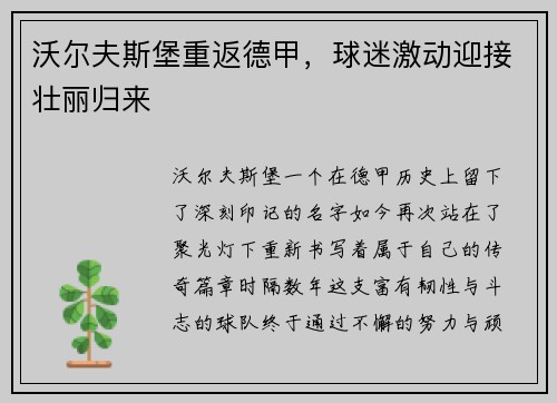 沃尔夫斯堡重返德甲，球迷激动迎接壮丽归来