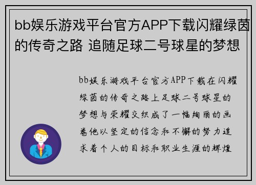 bb娱乐游戏平台官方APP下载闪耀绿茵的传奇之路 追随足球二号球星的梦想与荣耀 - 副本